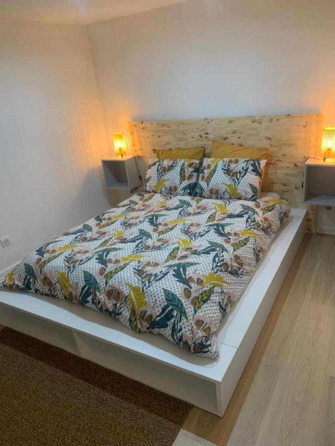 Chouett'Appart Proche Frontieres Village-Neuf Εξωτερικό φωτογραφία